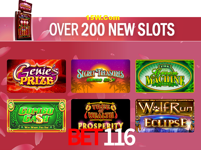 Experiência VIP Bet116