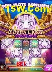 Experiência VIP Bet116